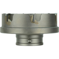 Quick Change Sheet Metal Cutter, 3/4" Diameter, Carbide, 3/16" Depth of Cut Chandler Sales