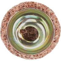 Standard Abrasives Quick-Change Surface Conditioning Disc, 3/4" Dia., Coarse Grit, Aluminum Oxide Chandler Sales