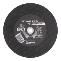 Meule &agrave; tronçonner rapide en acier inoxydable Portacut, 12" x 1/8", Arbre de 3/4", Type 1, Carbure de silicium, 6300 Tr/min Chandler Sales