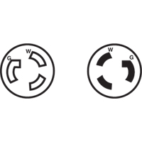 Prise mise &agrave; la terre verrouillable &agrave; deux bornes et trois fils, Nylon, 15 A, 250 V, L6-15P Chandler Sales