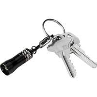 Lampes de poche Nano Light Chandler Sales