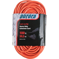 Vinyl Extension Cord, Outdoor, SJTW, 14/3 AWG, 13 A, 100' Chandler Sales