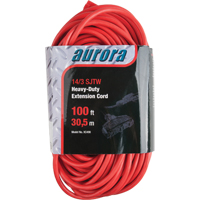 Cordon rallonge en vinyle, Ext&eacute;rieur, SJTW, AWG 14/3, 13 A, 3 prise(s), 100' Chandler Sales