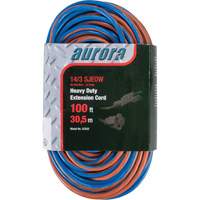TPE-Rubber Extension Cord With Light Indicator, All-Weather, SJEOW, 14/3 AWG, 13 A, 100' Chandler Sales