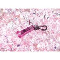 Lampes de poche Nano Light Chandler Sales