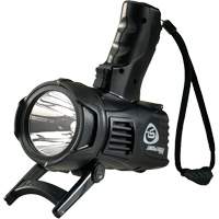 Projecteurs style pistolet Waypoint, DEL, 550 Lumens, Piles C Chandler Sales