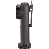 Lampe de poche Survivor, DEL, Piles AA, Polym&egrave;re de nylon Chandler Sales