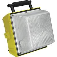 Hang-A-Light&reg; Fluorescent Magnetic Work Light Chandler Sales
