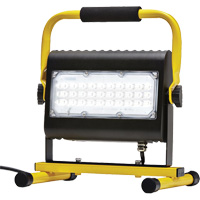 Flood Light, LED, 50 W, 4800 Lumens, Aluminum Housing Chandler Sales