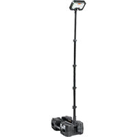 9490 Remote Area Lighting Systems, LED, 53.3 W, 6000 Lumens, Plastic Housing Chandler Sales