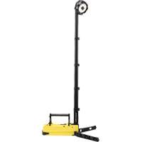 Portable Rechargeable Scene Lights, LED, 36 W, 5300 Lumens, Plastic Housing Chandler Sales