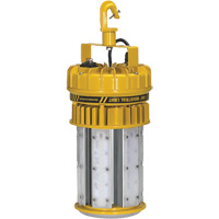 ProLight 360° Industrial Light Kit, LED, 120 W, 15000 Lumens, Plastic Housing Chandler Sales