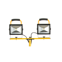 Projecteur double, DEL, 40 W, 4800 lumens, Boîtier en Aluminium Chandler Sales
