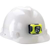 Lampe de poche multifonction Enduro, DEL, 200 lumens, 6 hres de fonctionnement, piles AAA Chandler Sales