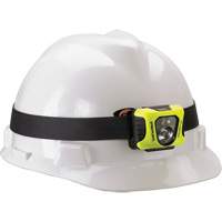 Lampe de poche multifonction Enduro, DEL, 200 lumens, 6 hres de fonctionnement, piles AAA Chandler Sales