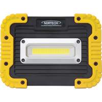Portable Work Light, LED, 10 W, 1000 Lumens, Plastic Housing Chandler Sales
