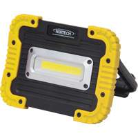 Portable Work Light, LED, 10 W, 1000 Lumens, Plastic Housing Chandler Sales