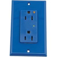 Surge Protective Isolated Decora&reg; Outlet Chandler Sales