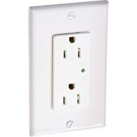 Surge Protective Decora&reg; Outlet Chandler Sales