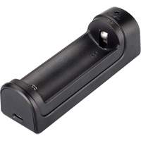 Chargeur intelligent pour pile &agrave; un canal Chandler Sales