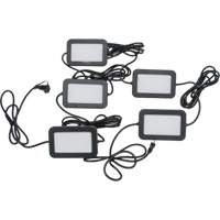 Chaîne de baladeuses DEL, 5 Lumi&egrave;res, 50' lo, Boîtier en Plastique Chandler Sales