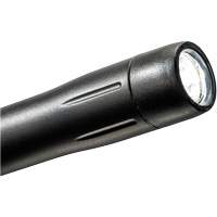 Lampe stylo, DEL, 139 lumens, Corps en Plastique, piles AAA, Compris Chandler Sales