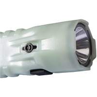 Flashlight, LED, 378 Lumens, AA Batteries Chandler Sales