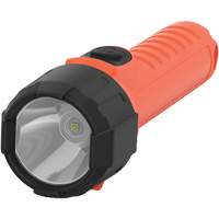 Intrinsically Safe&reg; Handheld Flashlight, LED, 150 Lumens, AA Batteries Chandler Sales