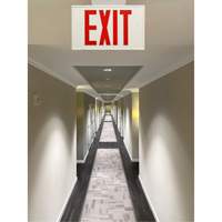 Exit Sign, LED, Battery Operated/Hardwired, 12-1/5" L x 7-1/2" W, English Chandler Sales