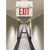 Exit Sign with Security Lights, LED, Battery Operated/Hardwired, 12-1/10" L x 11" W, English Chandler Sales