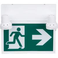 Running Man Sign with Security Lights, LED, Battery Operated/Hardwired, 12-1/10" L x 11" W, Pictogram Chandler Sales