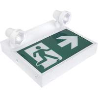 Running Man Sign with Security Lights, LED, Battery Operated/Hardwired, 12-1/10" L x 11" W, Pictogram Chandler Sales
