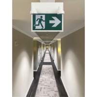 Running Man Sign with Security Lights, LED, Battery Operated/Hardwired, 12-1/10" L x 11" W, Pictogram Chandler Sales