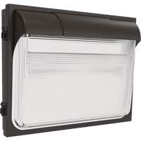 TWX3 Wall Luminaire, LED, 347 V, 14" H x 18" W x 5" D Chandler Sales