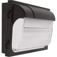 TWX Wall Luminaire, LED, 480 V, 9 W - 54 W, 14" H x 18" W x 5" D Chandler Sales