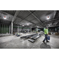 RADIUS Temporary Site Light, LED, 130 W, 15000 Lumens Chandler Sales