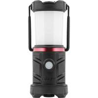 Lanterne de zone d'urgence EAL13 Chandler Sales