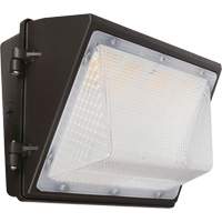 Non-Cutoff Wall Pack, LED, 120 - 277 V, 75 - 110 W, 9.33" H x 6.65" W x 14.5" D Chandler Sales