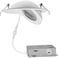 Gimbal Light Fixture, LED, 120 V, 9 W Chandler Sales