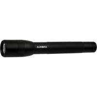 Lampe de poche IPX4, 100 lumens, Piles AA Chandler Sales