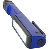 Lampe de poche stylo avec agrafe de poche, DEL, 80 lumens, Piles AAA Chandler Sales