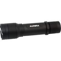 Lampe de poche IP67, DEL, 2000 lumens, Piles Rechargeable Chandler Sales