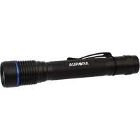 IPX7 Flashlight, LED, 250 Lumens, AA Batteries Chandler Sales