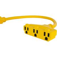 Adaptateur de rallonge d'alimentation, Ext&eacute;rieur, STOW, AWG 12/3, 15 A, 3 prise(s), 2' Chandler Sales