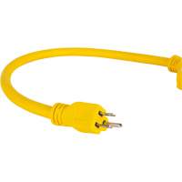 Adaptateur de rallonge d'alimentation, Ext&eacute;rieur, STOW, AWG 12/3, 15 A, 3 prise(s), 2' Chandler Sales