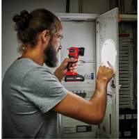 18V Cordless LED Work Light (Tool Only), LED, 280 Lumens, Rechargeable Battery Chandler Sales