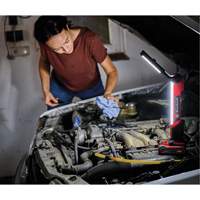 18V Cordless LED Work Light (Tool Only), LED, 1000 Lumens Chandler Sales