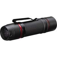 Lampe de poche &agrave; deux modes d'optique PX9, DEL, 750 lumens, Piles AAA Chandler Sales