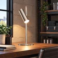 Lampe de table en m&eacute;tal avec diffuseur acrylique FR, 6 W, DEL, Col 19-3/4", Chrome satin&eacute; Chandler Sales